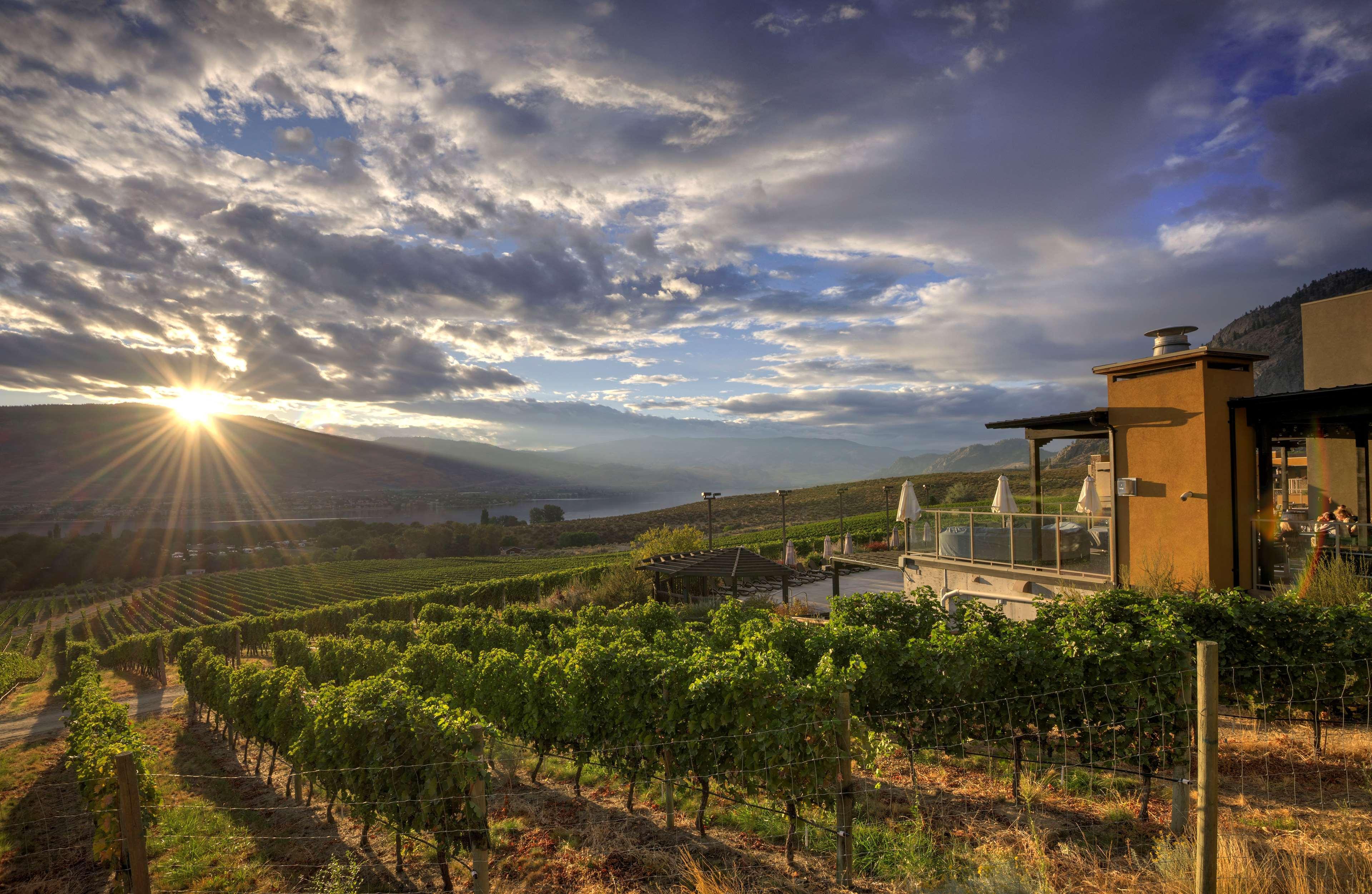 Spirit Ridge, In The Unbound Collection By Hyatt Hotel Osoyoos Buitenkant foto